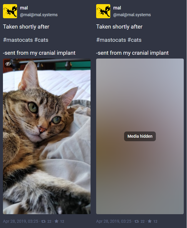 Improving Support For Adult Content On Mastodon Introducing