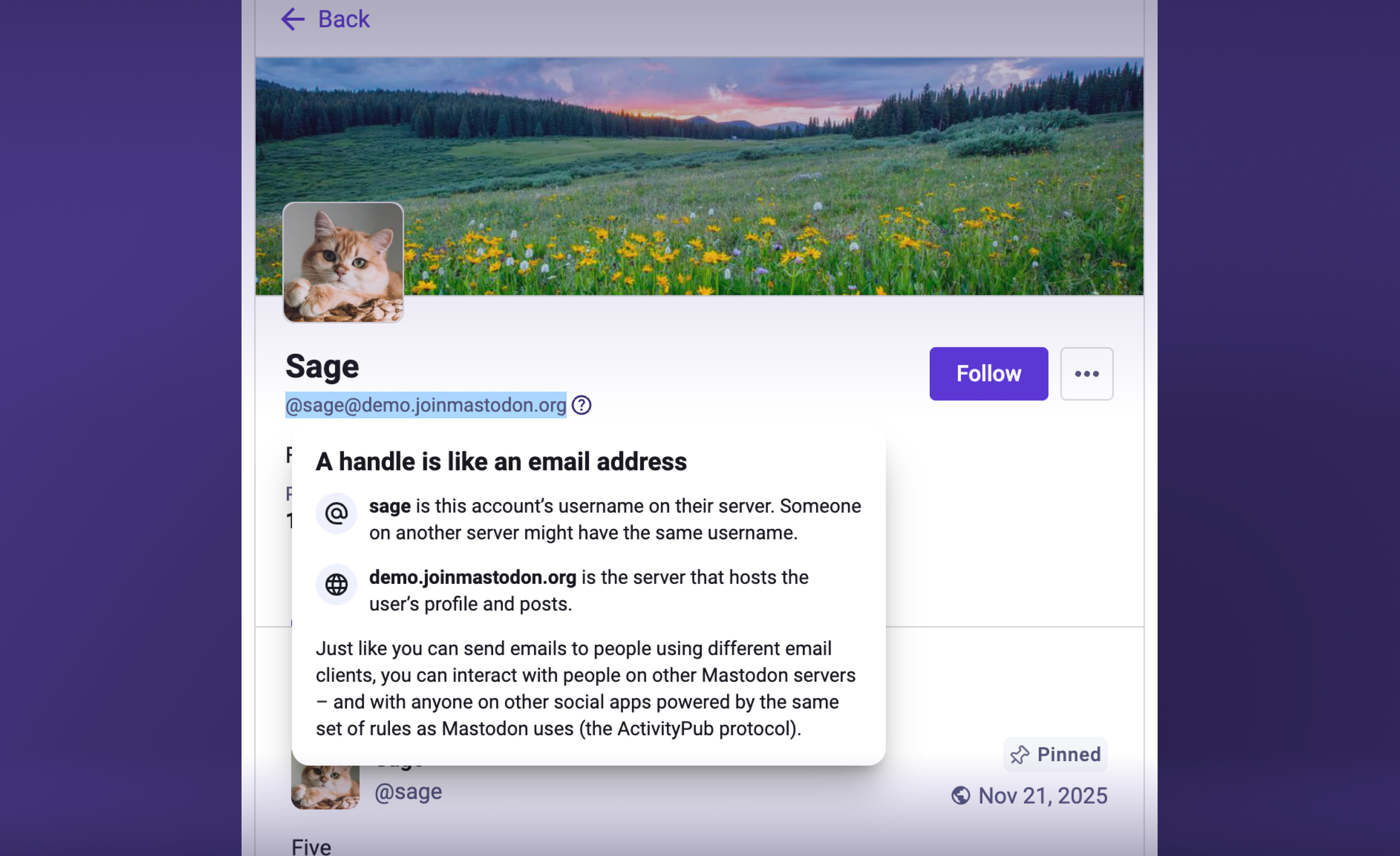 The new profile handle explainer